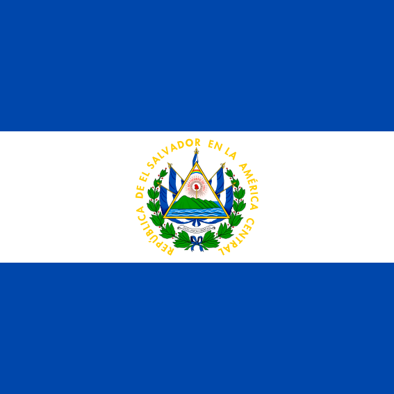 address El Salvador Government: Cold Wallet logo